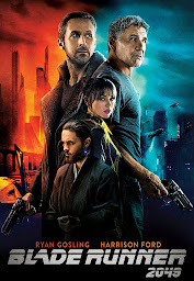 Icon image Blade Runner 2049 (Legendado)